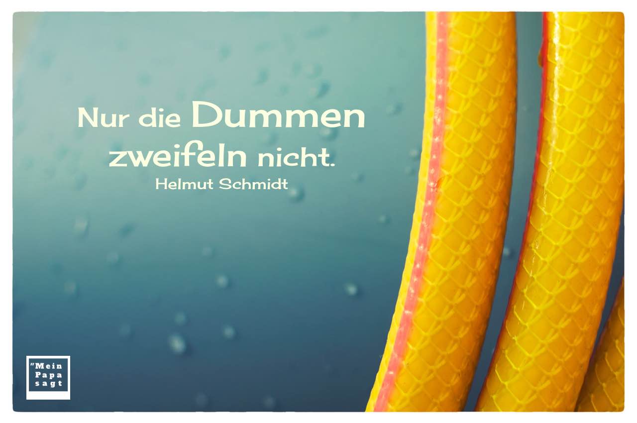 Schlauch mit Helmut Schmidt Zitate Bilder: Nur die Dummen zweifeln nicht. Helmut Schmidt