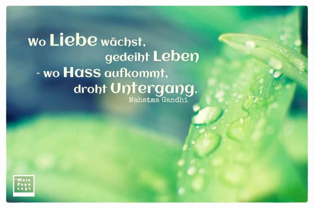 Wo Liebe wächst, gedeiht Leben wo Hass aufkommt, droht Untergang