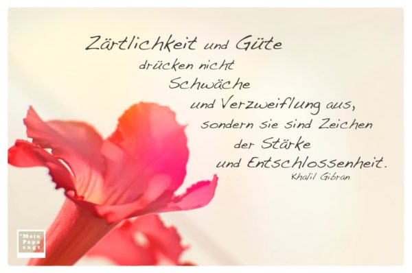 Zärtlichkeit und Güte drücken nicht Schwäche und Verzweiflung aus,&hellip;