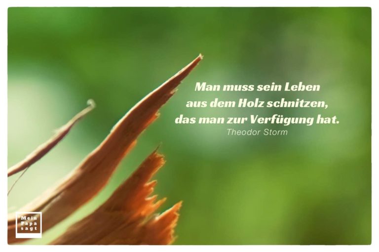 Man muss sein Leben aus dem Holz schnitzen, das man zur Verfügung hat