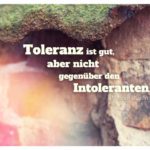 Steinmauer mit Busch Zitate Bilder: Toleranz ist gut, aber nicht gegenüber den Intoleranten. Wilhelm Busch