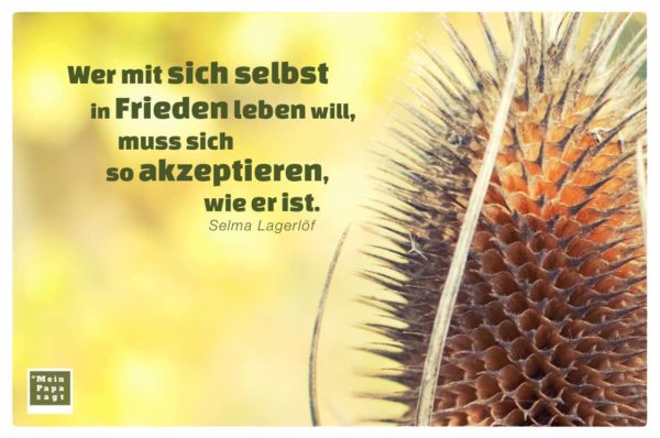 Wer mit sich selbst in Frieden leben will, muss sich so akzeptieren