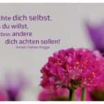 Blüten mit Knigge Lebensweisheiten und Bildern: Achte dich selbst, wenn du willst, dass andere dich achten sollen! Adolph Freiherr Knigge