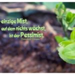 Erde mit Pflanzen und Heuss Zitate Bilder: Der einzige Mist, auf dem nichts wächst, ist der Pessimist. Theodor Heuss