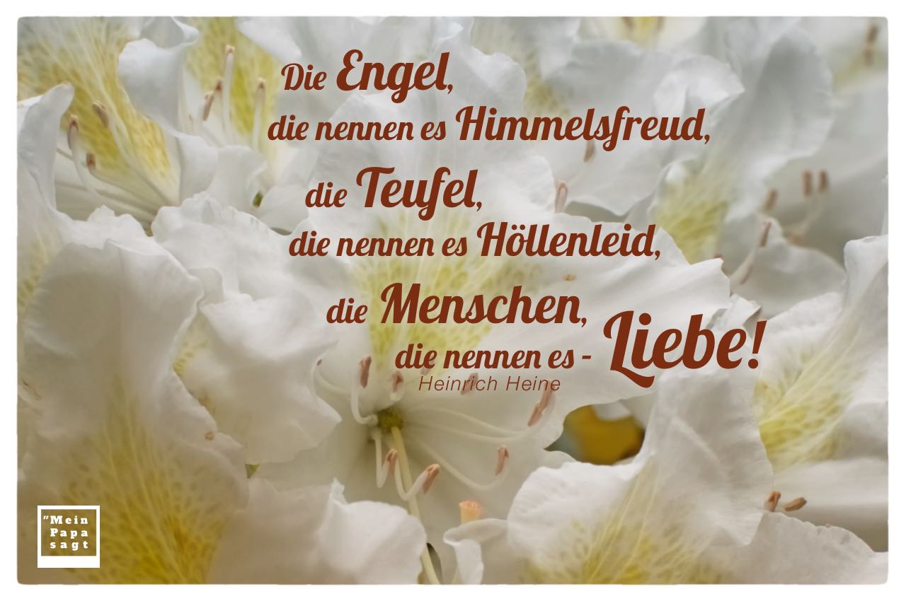 Blüten mit Heine Zitate und Bilder: Die Engel, die nennen es Himmelsfreud, die Teufel, die nennen es Höllenleid, die Menschen, die nennen es - Liebe! Heinrich Heine