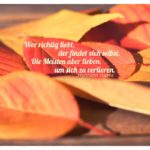 Herbstlaub mit Hesse Zitate und Bilder: Wer richtig liebt, der findet sich selbst. Die Meisten aber lieben, um sich zu verlieren. Hermann Hesse