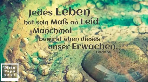 Thema Leid Zitate und Weisheiten mit Bild