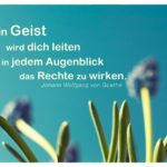 Grün und Blüten mit Goethe Zitate Bilder: Dein Geist wird dich leiten in jedem Augenblick das Rechte zu wirken. Johann Wolfgang von Goethe