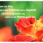 Blumenblüte mit Schiller Zitate Bilder: Sagen sie ihm, daß er die Träume seiner Jugend nicht vergessen soll, wenn er ein Mann geworden. Friedrich Schiller