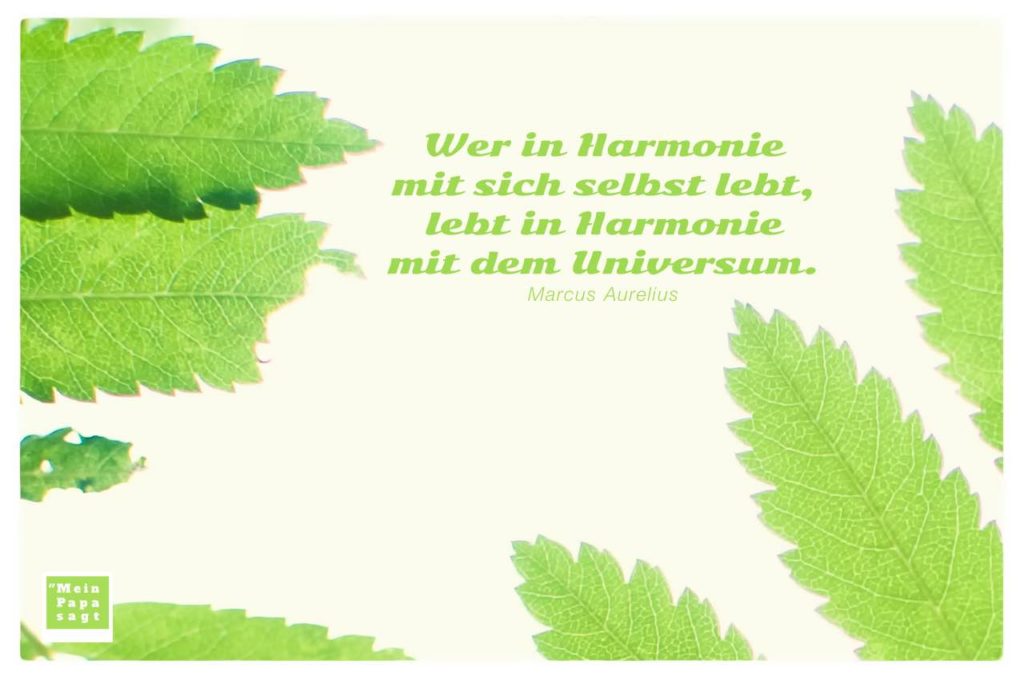 Wer in Harmonie mit sich selbst lebt, lebt in Harmonie mit dem Universum