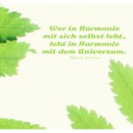 Blätter mit Aurelius Zitate Bilder: Wer in Harmonie mit sich selbst lebt, lebt in Harmonie mit dem Universum. Marcus Aurelius