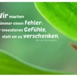 Grüne Blätter mit Schneyder Zitate Bilder: Wir machen immer einen Fehler: Wir investieren Gefühle, statt sie zu verschenken. Werner Schneyder
