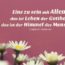 Beitragsbild - Eins zu sein mit Allem, das ist Leben der Gottheit, das ist der Himmel des Menschen