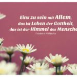 Margeriten mit Hölderlin Zitate Bilder: Eins zu sein mit Allem, das ist Leben der Gottheit, das ist der Himmel des Menschen. Friedrich Hölderlin