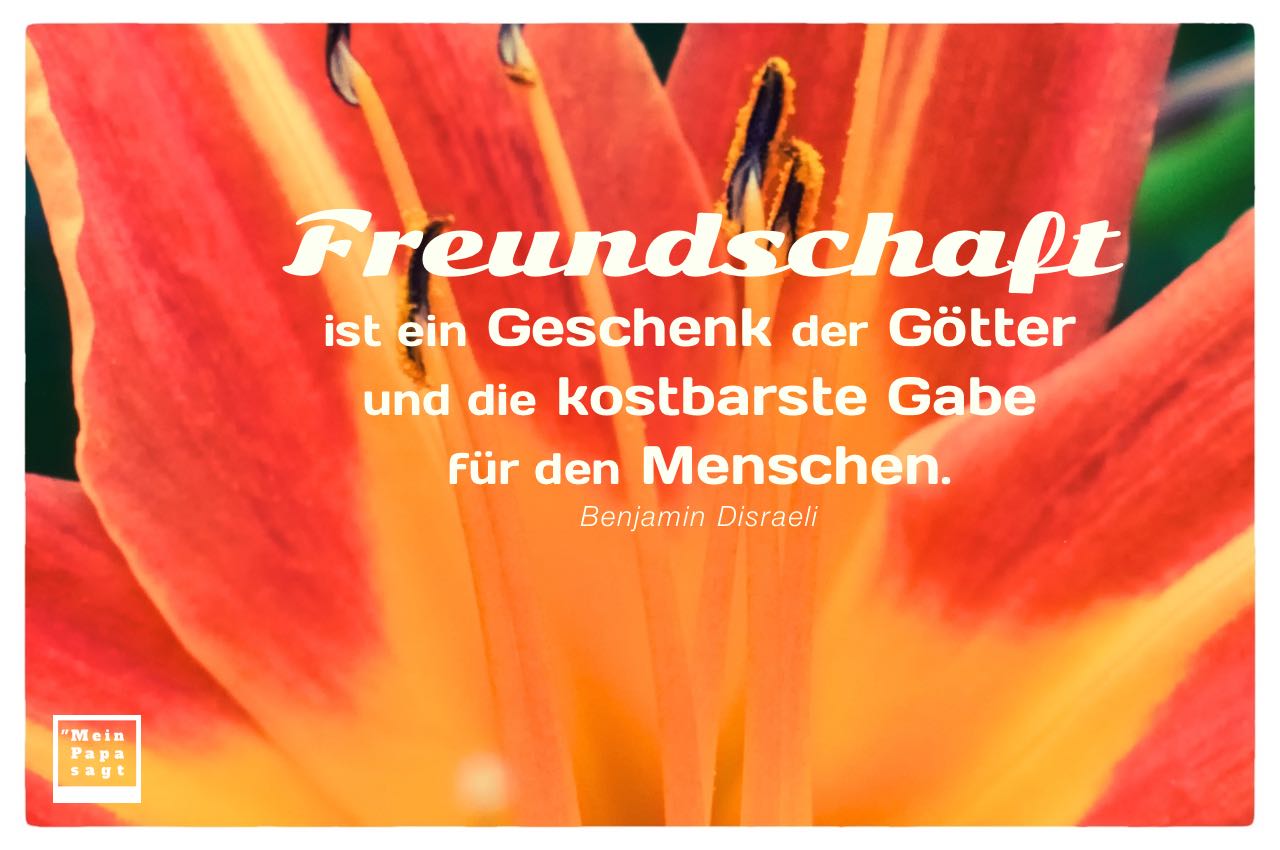Blüte Lilie mit Disraeli Zitate Bilder: Freundschaft ist ein Geschenk der Götter und die kostbarste Gabe für den Menschen. Benjamin Disraeli