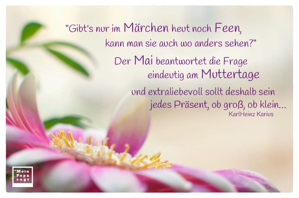Zitate & Sprüche Bilder Galerie des Monats Mai 2019