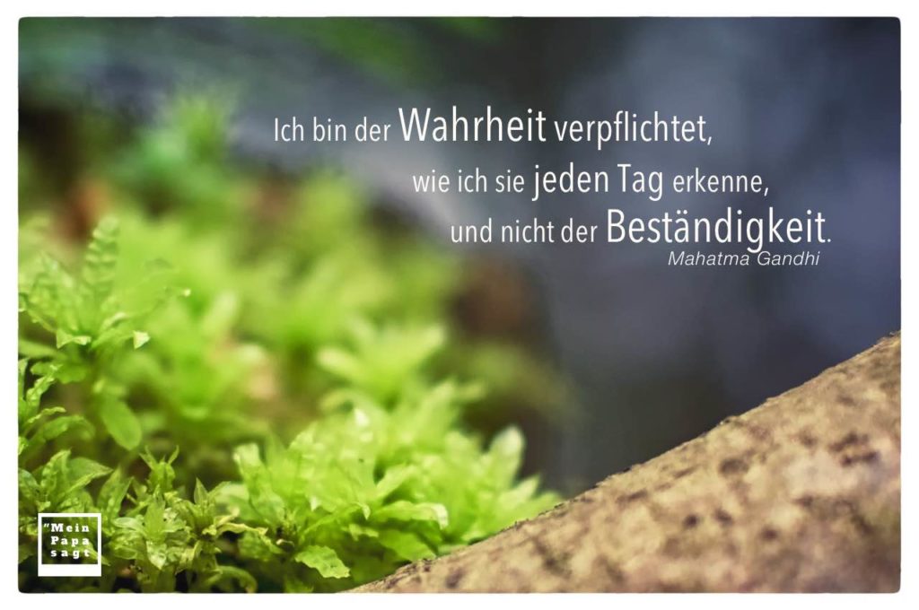 Ich bin der Wahrheit verpflichtet, wie ich sie jeden Tag erkenne, und