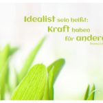 Grüne Blätter mit Novalis Zitate Bilder: Idealist sein heißt: Kraft haben für andere. Novalis