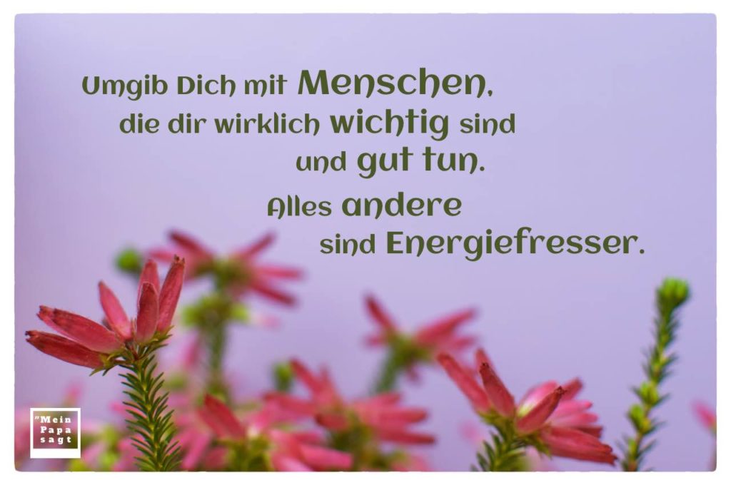 Sprüche Menschen Die Einem Gut Tun meinpapasagt.de