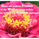 Blütenkelch mit Gandhi Zitate Bilder: Wenn wir wahren Frieden in der Welt erlangen wollen, müssen wir bei den Kindern anfangen. Mahatma Gandhi
