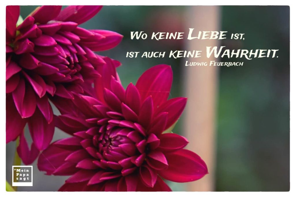 Wo keine Liebe ist, ist auch keine Wahrheit Zitate Bilder
