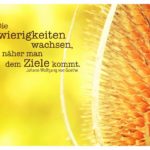 Pflanze mit Goethe Zitate Bilder: Die Schwierigkeiten wachsen, je näher man dem Ziele kommt. Johann Wolfgang von Goethe
