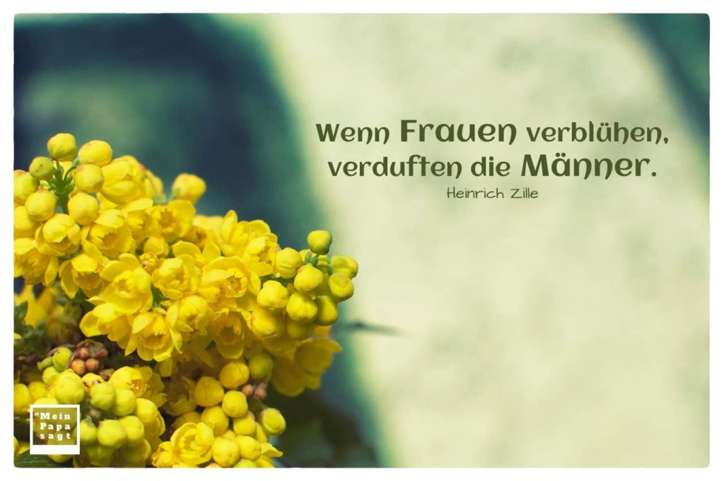 Zitate & Sprüche Bilder Galerie des Monats Juni 2019