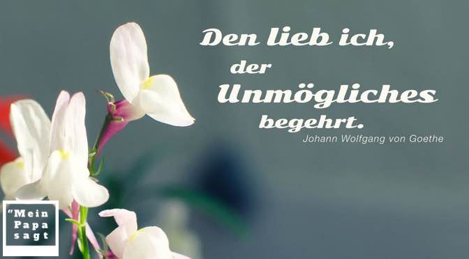Den lieb ich, der Unmögliches begehrt – Johann Wolfgang von Goethe