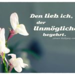 Weiße Blüte mit Goethe Zitate Bilder: Den lieb ich, der Unmögliches begehrt. Johann Wolfgang von Goethe