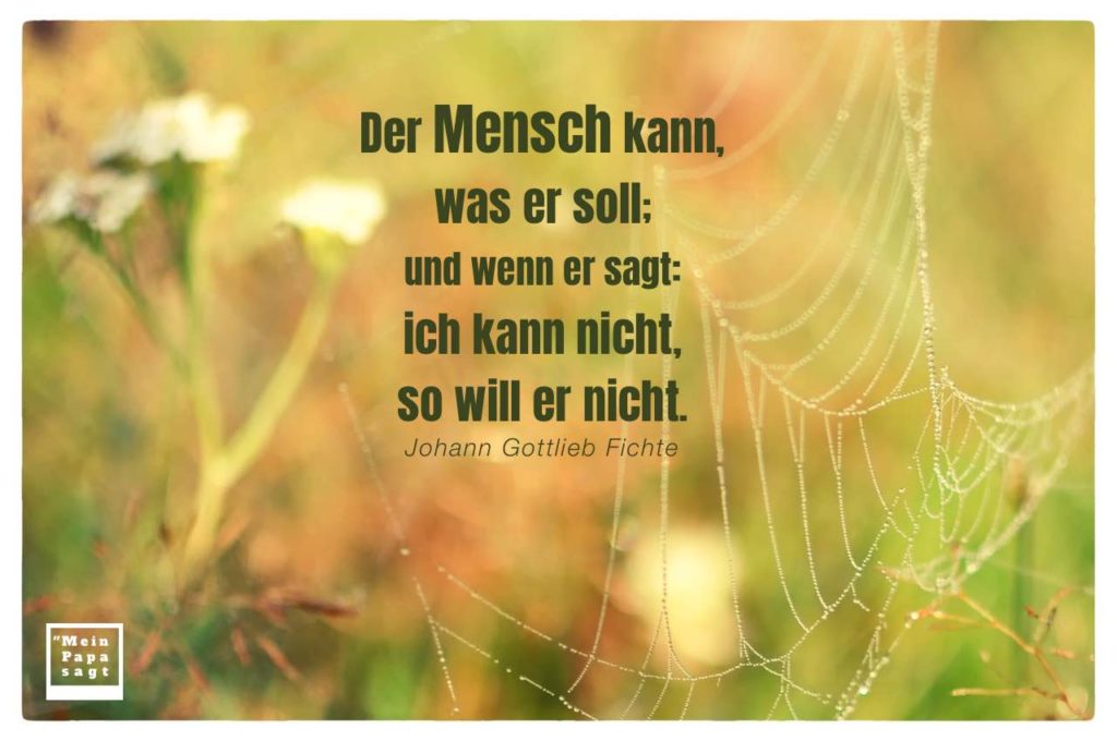Zitate & Sprüche Bilder Galerie des Monats Juli 2019