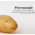 Kartoffelgesicht mit Ebner-Eschenbach Zitate Bilder: Vernunft annehmen kann niemand, der nicht schon welche hat. Marie von Ebner-Eschenbach