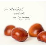 Kastanien mit Hinrich Herbst Zitate Bilder: Der Herbst vertieft den Sommer. Manfred Hinrich