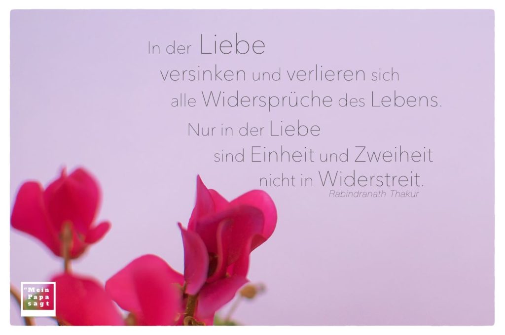 Mein Papa sagt Zitate BilderGalerie zum Thema Liebe...
