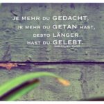 Palmenblätter vor Holzkiste mit Kant Zitate Bilder: Je mehr du gedacht, je mehr du getan hast, desto länger hast du gelebt. Immanuel Kant