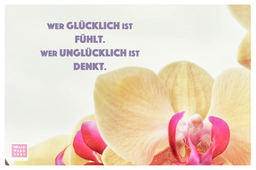 Wer glücklich ist fühlt. Wer unglücklich ist denkt Sprüche Bilder