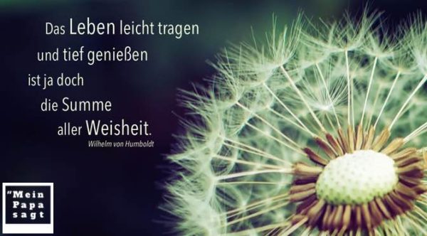 Thema Leichtigkeit Zitate und Weisheiten mit Bild Mein Papa sagt