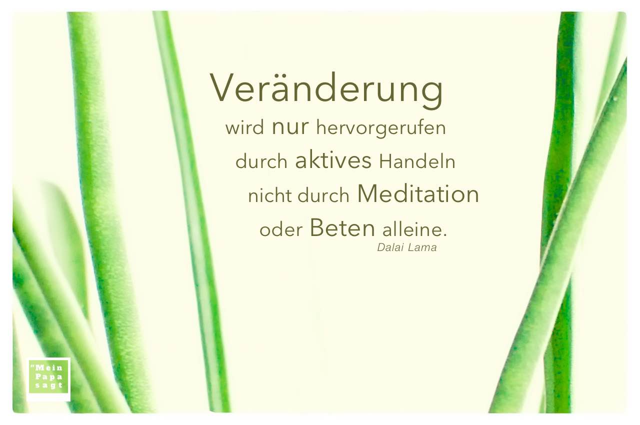Pflanzenstängel mit Dalai Lama Zitate Bilder: Veränderung wird nur hervorgerufen durch aktives Handeln nicht durch Meditation oder Beten alleine. Dalai Lama