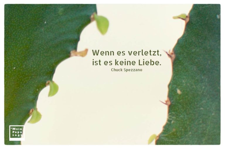 Mein Papa sagt Wenn es verletzt, ist es keine Liebe Chuck Spezzano