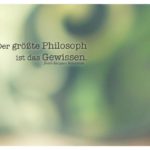 Blumentopf unscharf mit Rousseau Zitate Bilder: Der größte Philosoph ist das Gewissen. Jean-Jacques Rousseau