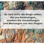 Rinde Platane mit Epiktet Zitate Bilder: Es sind nicht die Dinge selbst, die uns beunruhigen, sondern die Vorstellungen und Meinungen von den Dingen. Epiktet