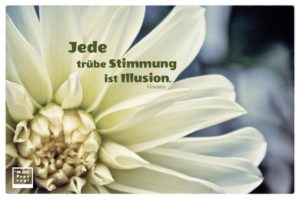 Mein Papa sagt Jede trübe Stimmung ist Illusion Novalis Zitate