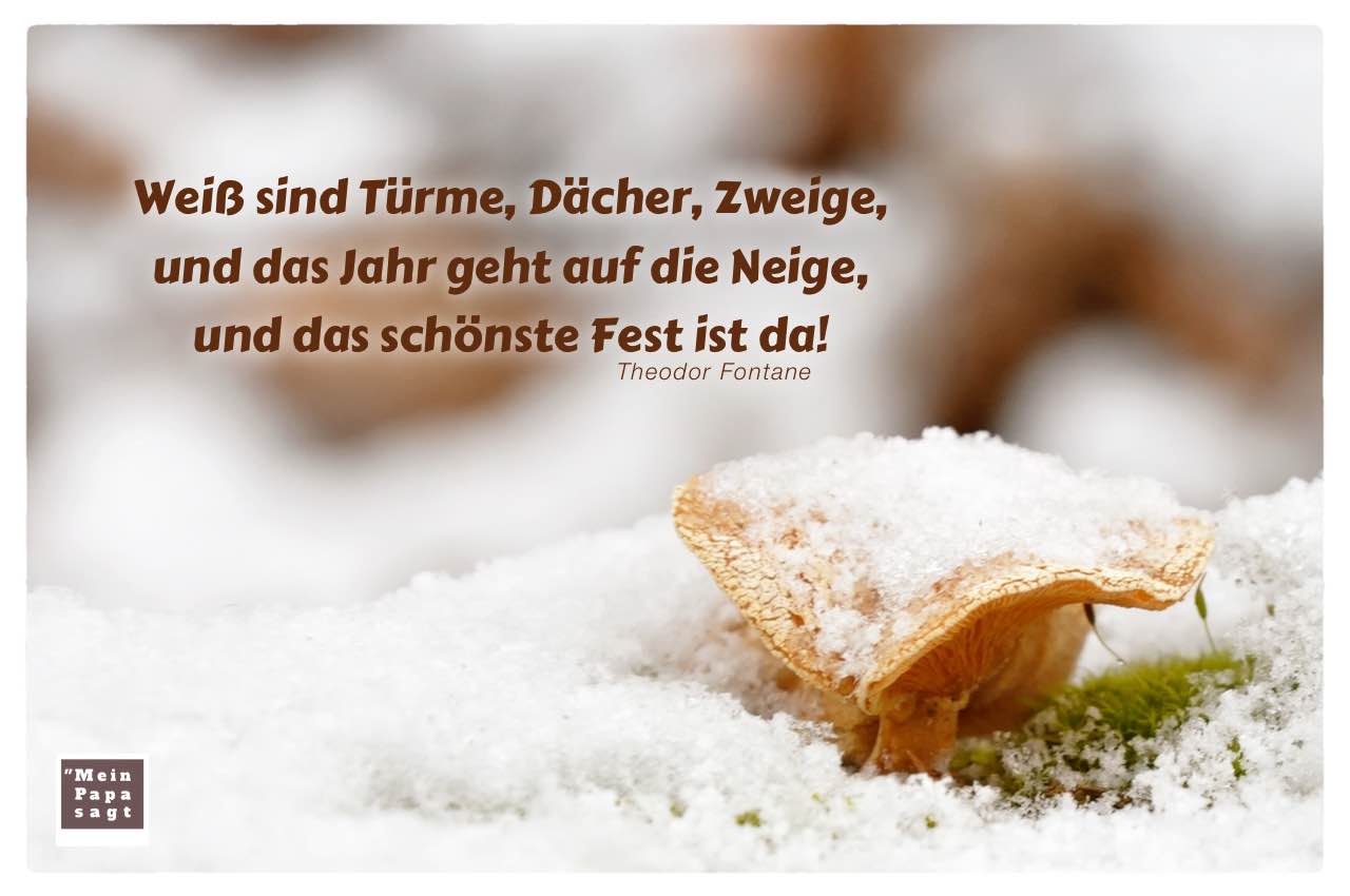 Schnee Pilz mit Fontane Zitate Bilder: Weiß sind Türme, Dächer, Zweige, und das Jahr geht auf die Neige, und das schönste Fest ist da! Theodor Fontane