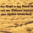 Beitragsbild - Wer den Kopf in den Sand steckt, wird mit den Zähnen knirschen aber nichts bewirken