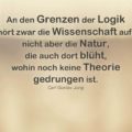 Beitragsbild - An den Grenzen der Logik hört zwar die Wissenschaft auf, nicht aber die Natur, die auch dort blüht, wohin noch keine Theorie gedrungen ist