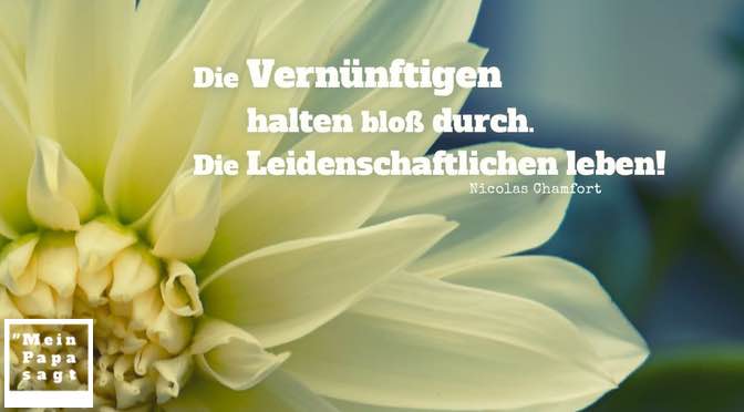 Get Nicolas chamfort zitate Free