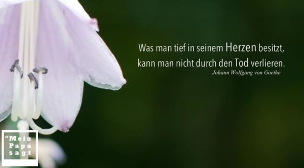 Was man tief in seinem Herzen besitzt, kann man nicht durch den Tod ve...