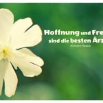 Blütenkelch mit Raabe Zitate mit Bildern: Hoffnung und Freude sind die besten Ärzte. Wilhelm Raabe