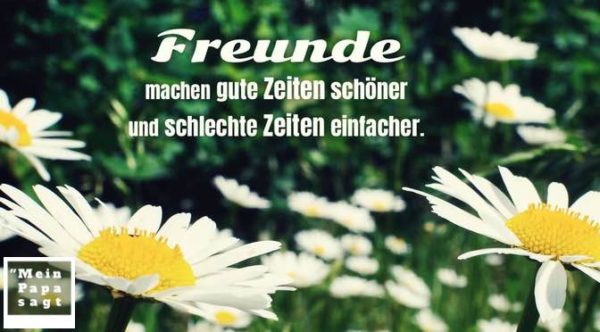 Freunde machen gute Zeiten schöner und schlechte Zeiten einfacher