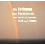 Regenbogen mit Nietzsche Zitate Bilder: Die Hoffnung ist der Regenbogen über den herabstürzenden Bach des Lebens. Friedrich Nietzsche