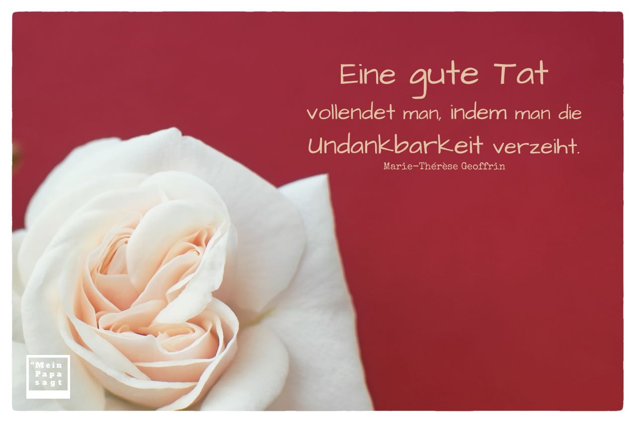weiße Rose mit Geoffrin Zitate mit Bild: Eine gute Tat vollendet man, indem man die Undankbarkeit verzeiht. Marie-Thérèse Geoffrin